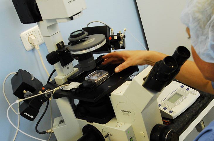infertility ISCARE laboratory Czech Republic