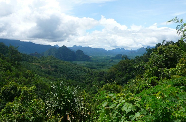 2010-07-15 15.45.20.jpg